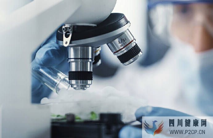 干细胞市场未来发展干细胞医疗应用?王智华博士(图1) 干细胞市场未来发展干细胞医疗应用?王智华博士(图1)