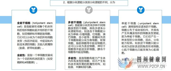 什么是干细胞(图7) 什么是干细胞(图7)