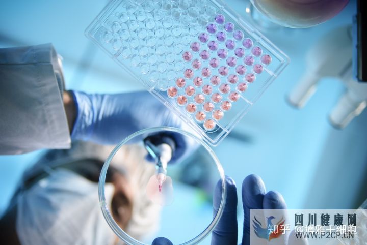 什么是间充质干细胞间充质干细胞存储有用吗它具...(图4) 什么是间充质干细胞间充质干细胞存储有用吗它具...(图4)