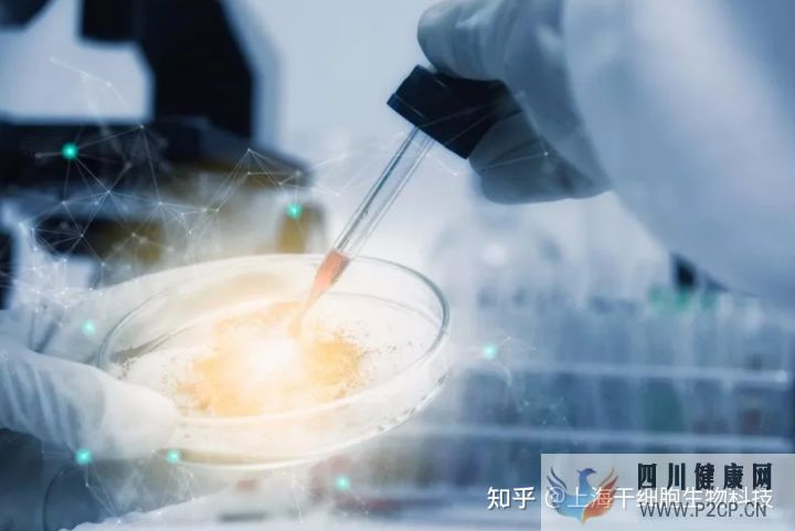 干细胞为什么被称为“全能ACE”,读这篇就够了(图3) 干细胞为什么被称为“全能ACE”,读这篇就够了(图3)