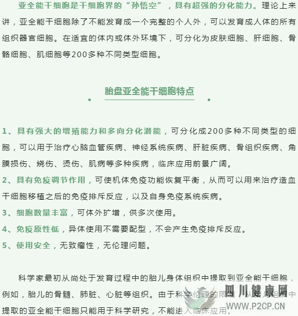 亚全能干细胞——干细胞界的“孙悟空”(图2) 亚全能干细胞——干细胞界的“孙悟空”(图2)
