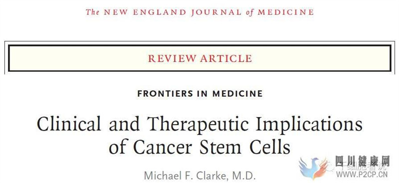 肿瘤细胞中的王者:肿瘤干细胞(图1) 肿瘤细胞中的王者:肿瘤干细胞(图1)