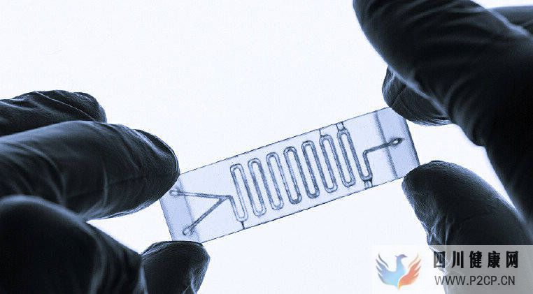 干细胞卵巢早衰治疗有用吗?(图1) 干细胞卵巢早衰治疗有用吗?(图1)