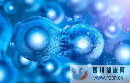 新颖的干细胞技术,让花钱买时间成为现实(图1) 新颖的干细胞技术,让花钱买时间成为现实(图1)