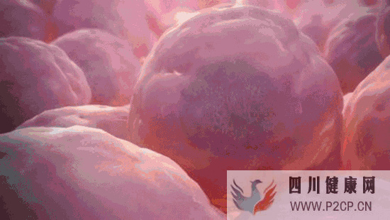 罗子鸣盘点干细胞可以治疗的10大疾病(图1) 罗子鸣盘点干细胞可以治疗的10大疾病(图1)