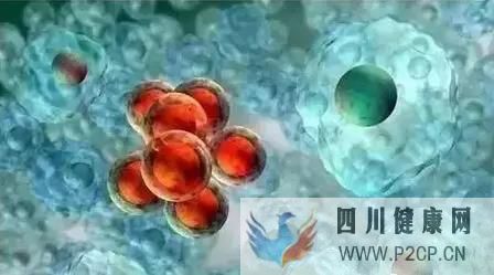 想知道干细胞对治疗哪些疾病有帮助吗?看这里!(图2) 想知道干细胞对治疗哪些疾病有帮助吗?看这里!(图2)