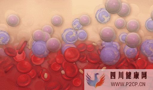 新综述间充质干细胞调节人体免疫系统,有潜力治疗...(图7) 新综述间充质干细胞调节人体免疫系统,有潜力治疗...(图7)