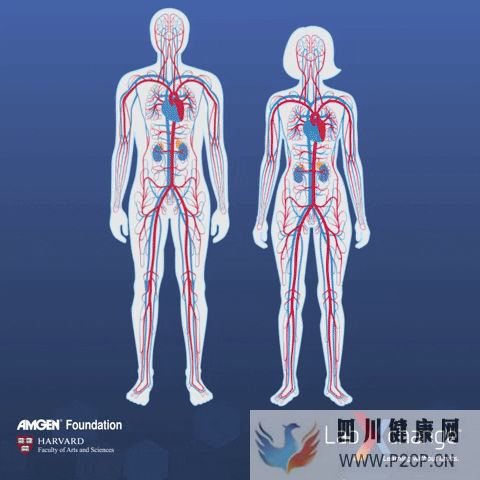 新综述间充质干细胞调节人体免疫系统,有潜力治疗...(图9) 新综述间充质干细胞调节人体免疫系统,有潜力治疗...(图9)
