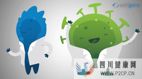 新综述间充质干细胞调节人体免疫系统,有潜力治疗...(图13) 新综述间充质干细胞调节人体免疫系统,有潜力治疗...(图13)