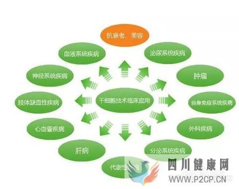 间充质干细胞治疗适应症有哪些(图8) 间充质干细胞治疗适应症有哪些(图8)