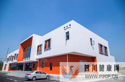 牙髓间充质干细胞填补了干细胞研究的空白(图10) 牙髓间充质干细胞填补了干细胞研究的空白(图10)