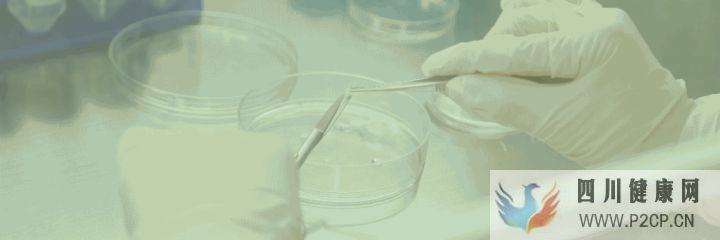 首创牙髓再生术,创造了乳牙干细胞的新里程碑(图2) 首创牙髓再生术,创造了乳牙干细胞的新里程碑(图2)