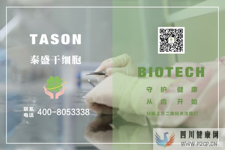 首创牙髓再生术,创造了乳牙干细胞的新里程碑(图15) 首创牙髓再生术,创造了乳牙干细胞的新里程碑(图15)