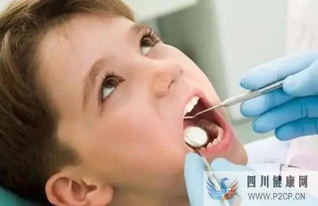 牙齿内心里的宝——牙髓干细胞(图2) 牙齿内心里的宝——牙髓干细胞(图2)