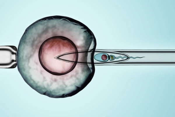 HIV阳性,试管婴儿“洗精”靠谱吗?(图2) HIV阳性,试管婴儿“洗精”靠谱吗?(图2)