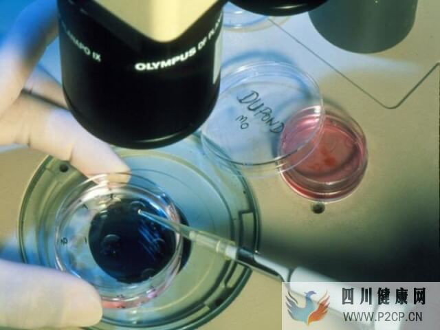 三代试管整个周期下来需要多长时间?(图1) 三代试管周期需半年时间