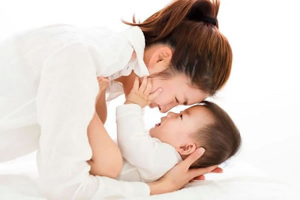 试管之窗 试管之窗