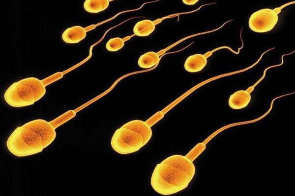 试管之窗 试管之窗