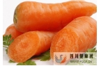 食用胡萝卜的七大好处与注意事项